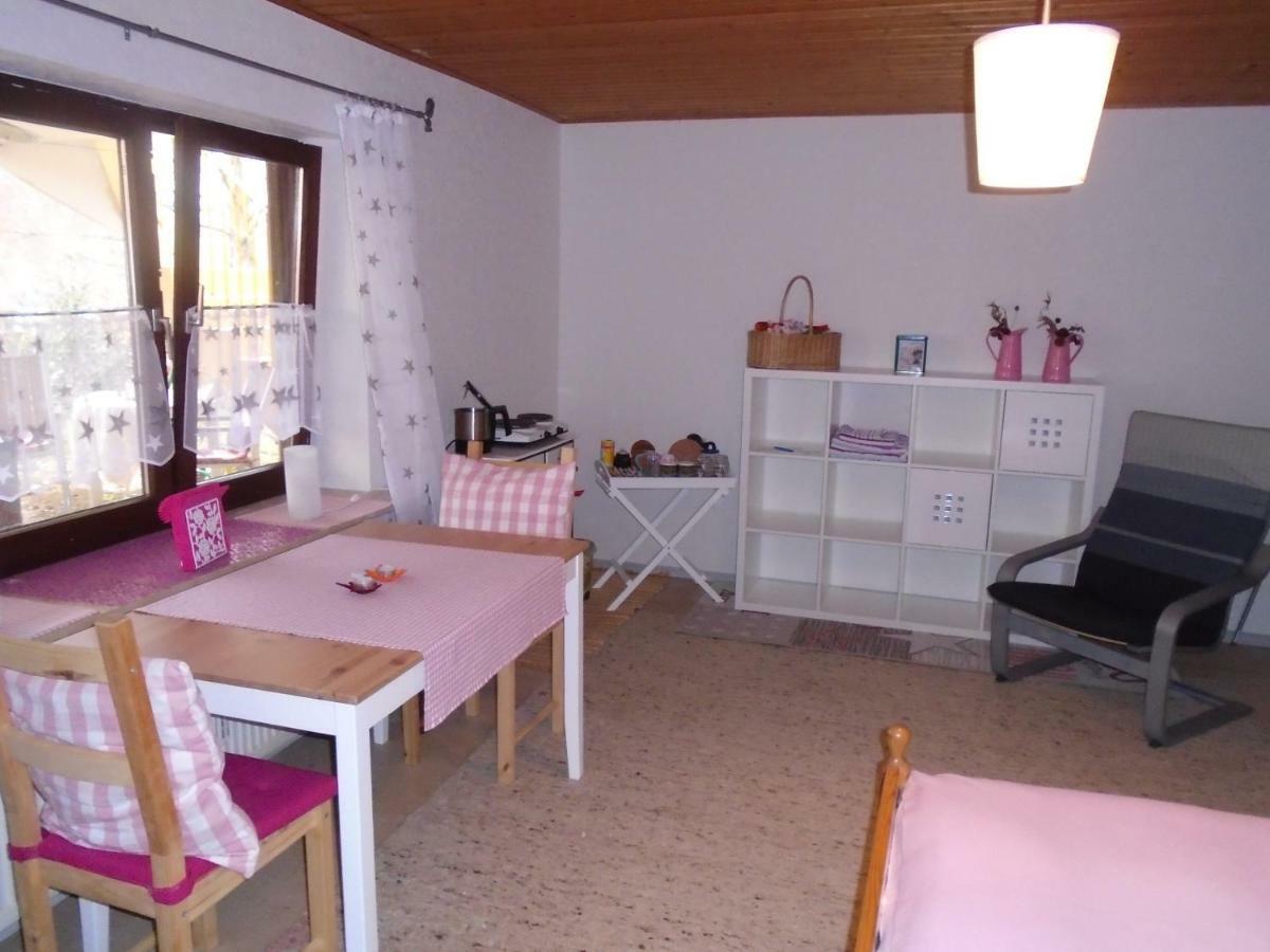 Appartement Non Smoking Traudel Engelken à Neckargemünd Extérieur photo